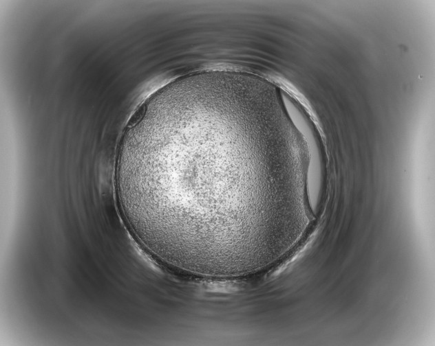 X0000087011041200704301414