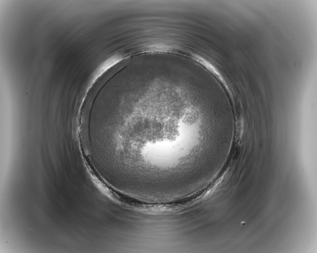 X0000087011042200704301414