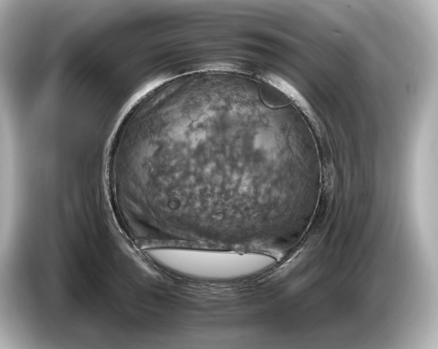 X0000087011043200704301414