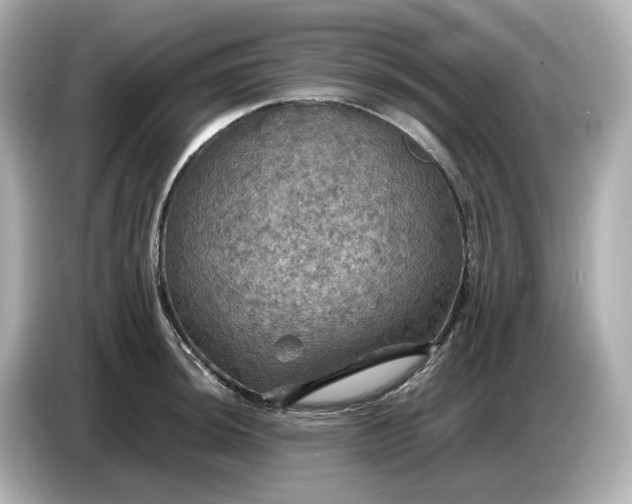 X0000087011044200704301414