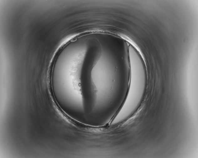 X0000087011045200704301414