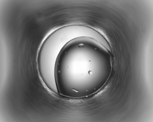 X0000087011046200704301414