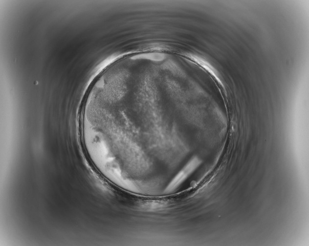 X0000087011047200704301414