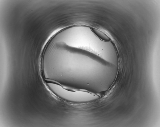 X0000087011048200704301414