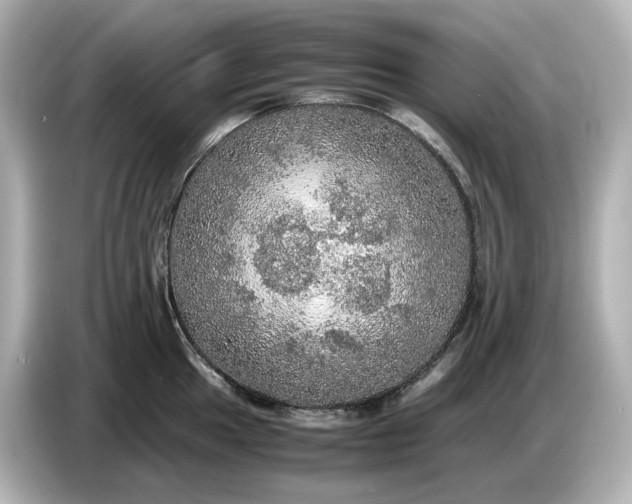 X0000087011049200704301414