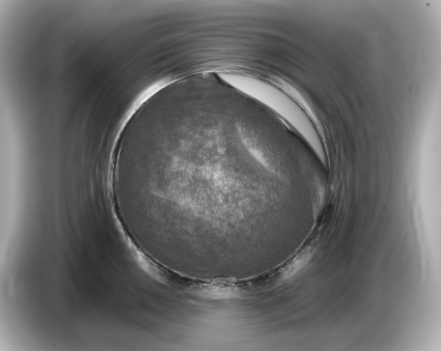 X0000087011050200704301414