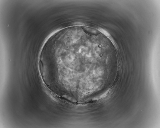 X0000087011051200704301414