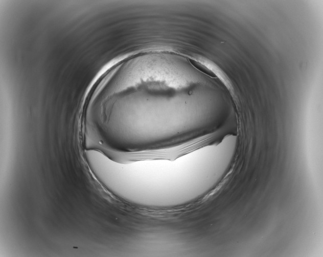 X0000087011052200704301414