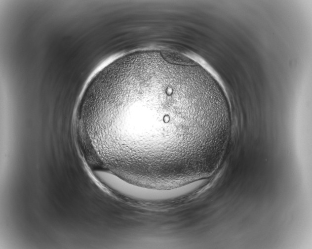 X0000087011053200704301414