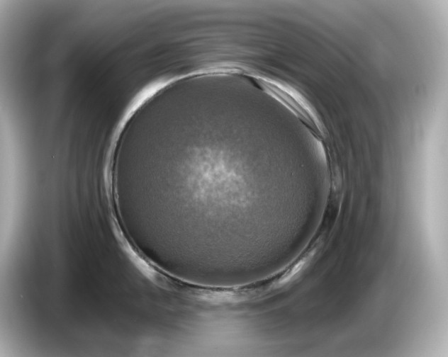 X0000087011054200704301414