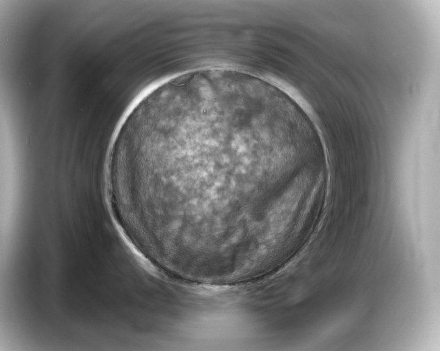 X0000087011056200704301414