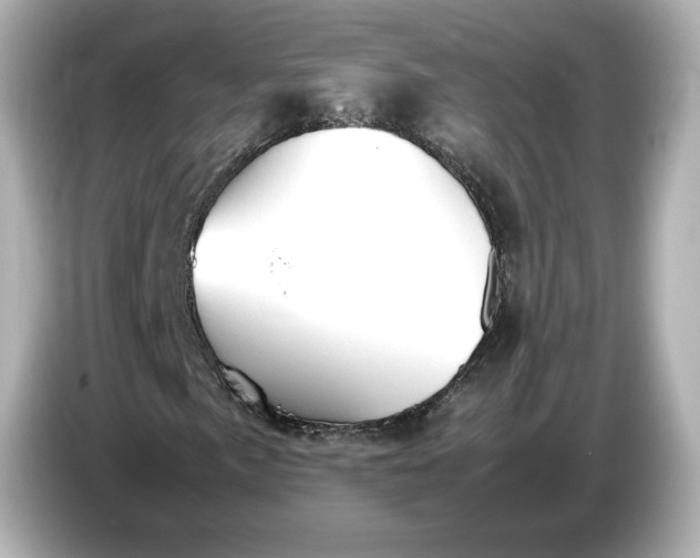 X0000087011057200704301413