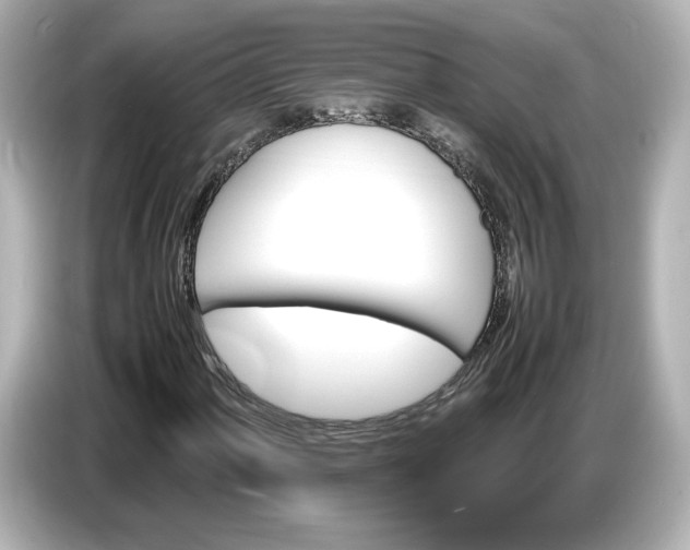 X0000087011060200704301413