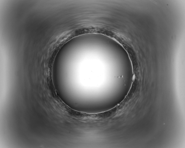 X0000087011061200704301413