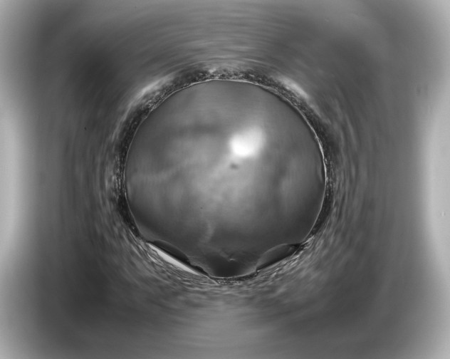 X0000087011063200704301413