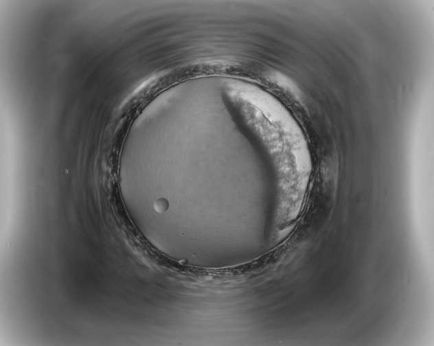 X0000087011064200704301413