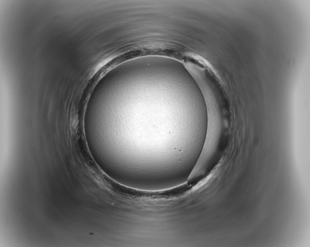 X0000087011065200704301413