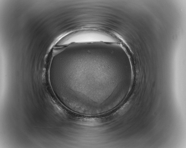 X0000087011066200704301413