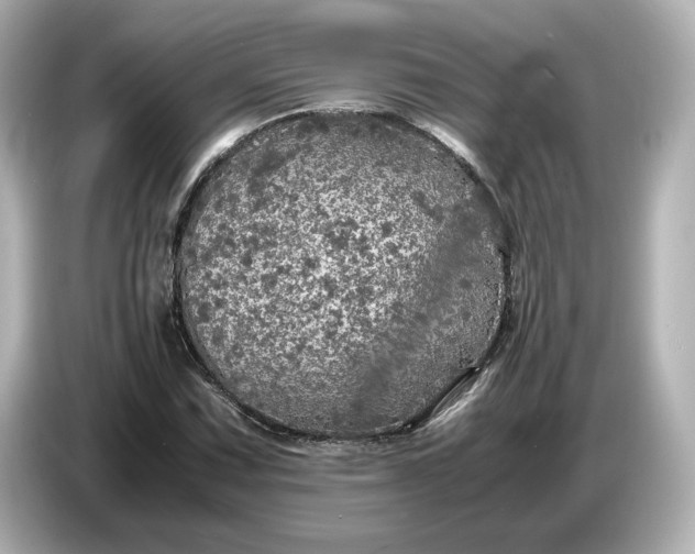 X0000087011067200704301413