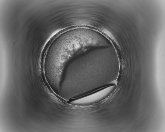 X0000087011068200704301413