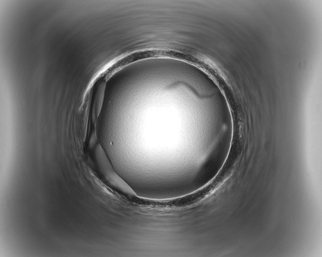 X0000087011069200704301413