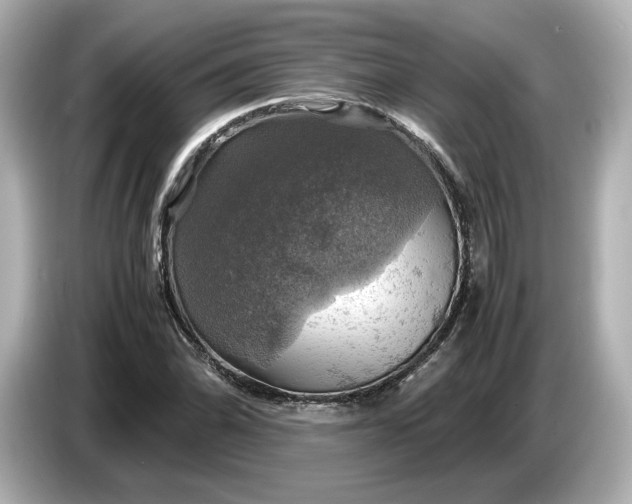 X0000087011070200704301413