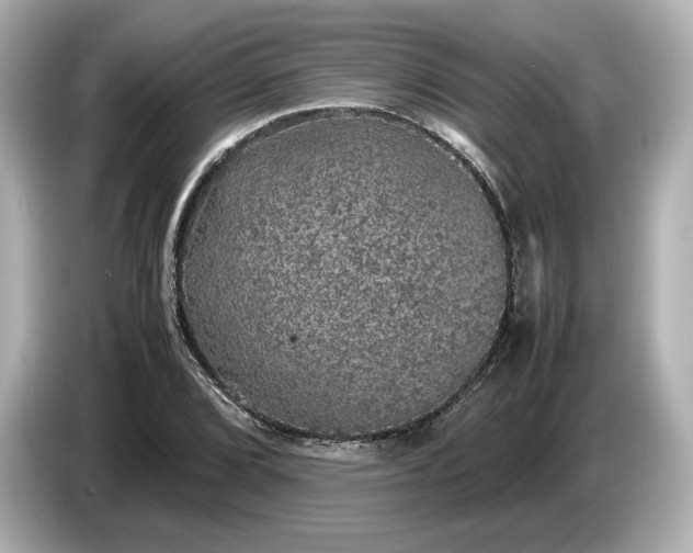 X0000087011072200704301413