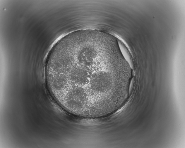 X0000087011075200704301413