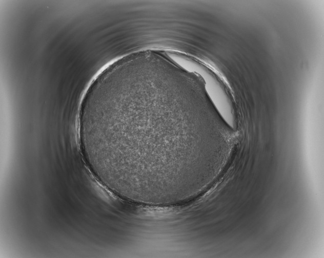 X0000087011076200704301413