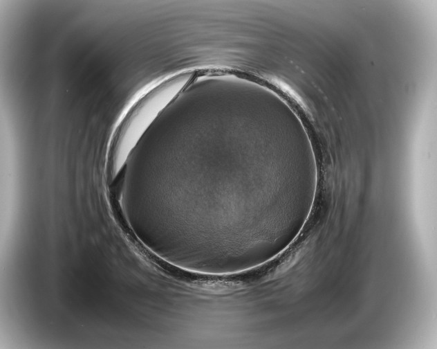 X0000087011077200704301413