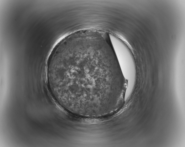 X0000087011079200704301413