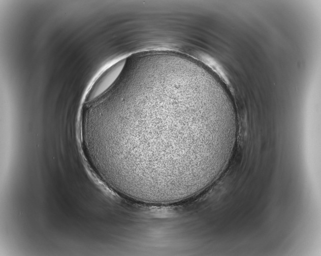 X0000087011080200704301413