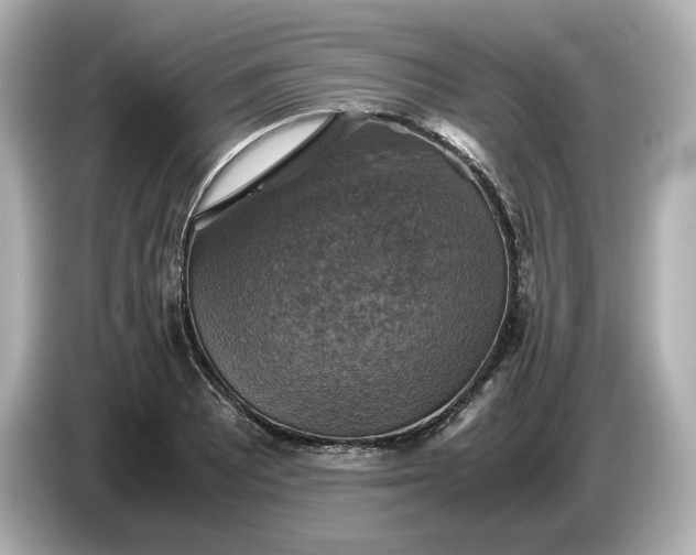 X0000087011081200704301413