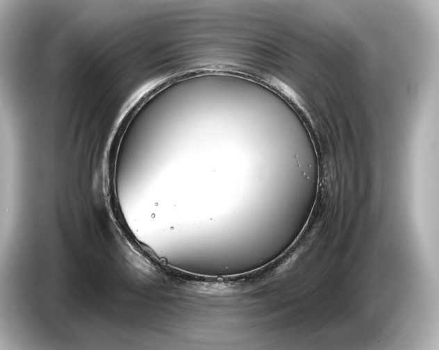 X0000087011082200704301413