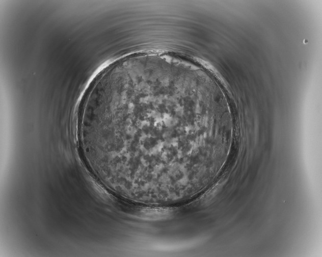 X0000087011083200704301413