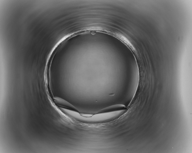 X0000087011084200704301413