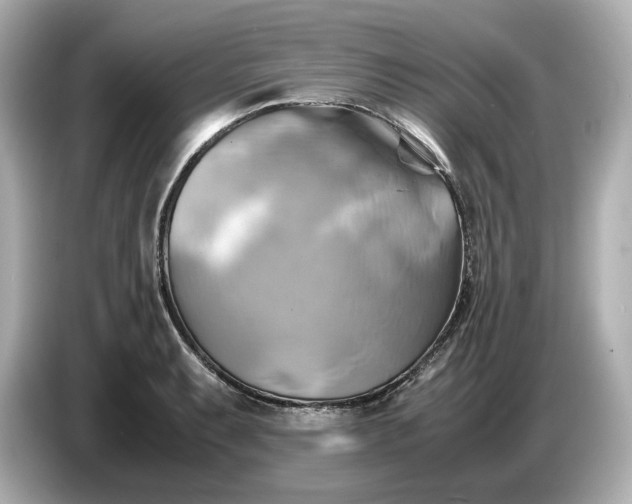 X0000087011087200704301413