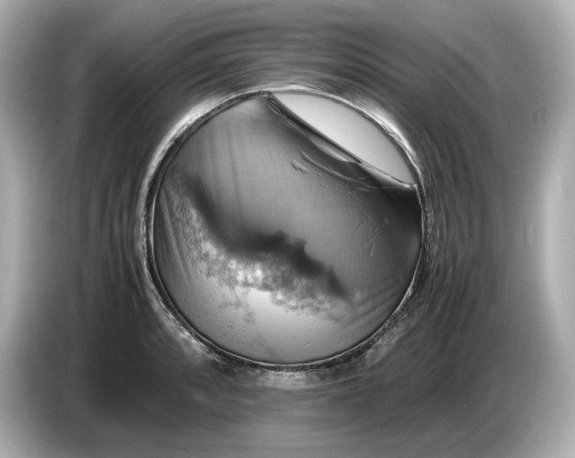 X0000087011088200704301413