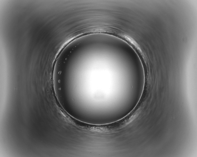 X0000087011089200704301413