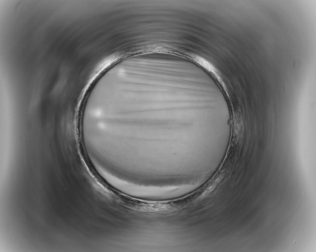 X0000087011090200704301413