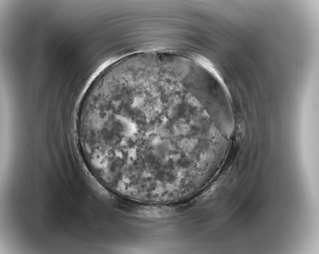 X0000087011091200704301413