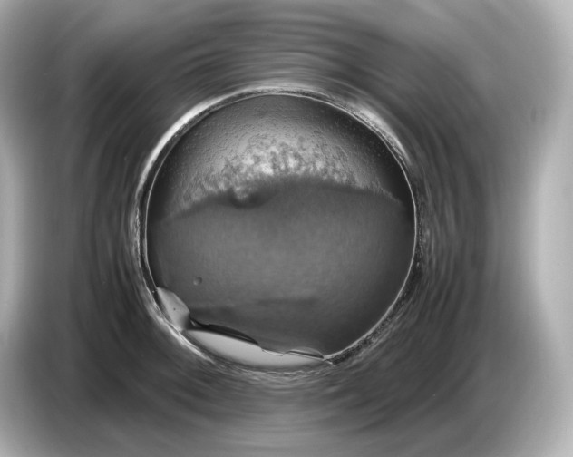 X0000087011092200704301413