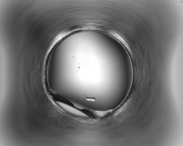 X0000087011093200704301413