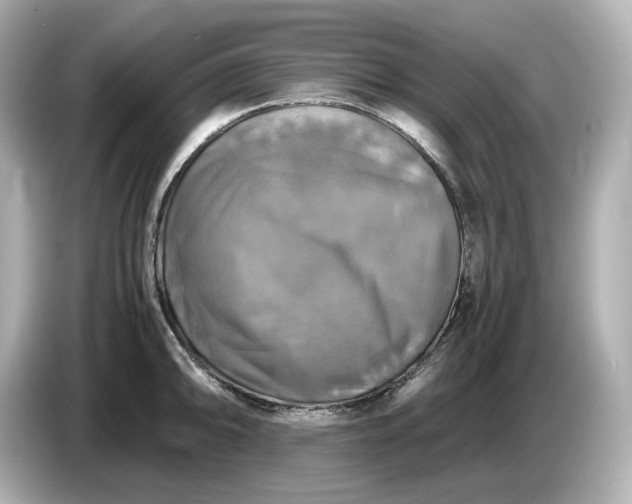 X0000087011094200704301413