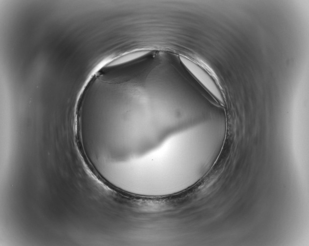 X0000087011095200704301413