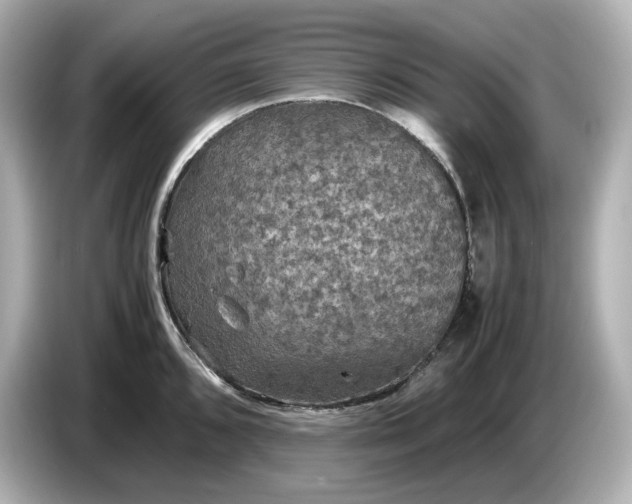 X0000087011096200704301413