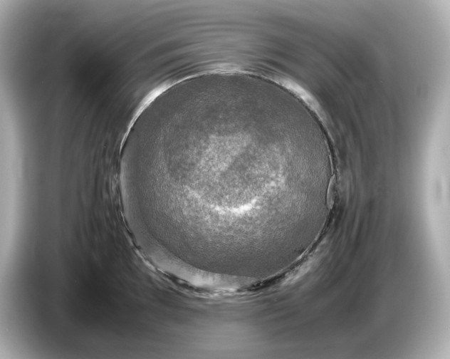 X0000087011097200704301413