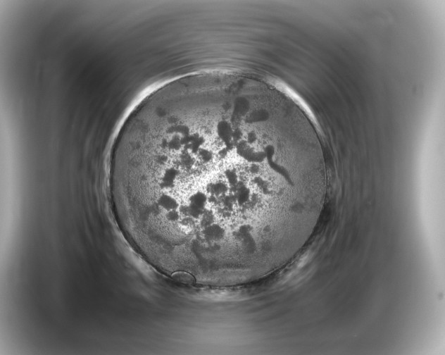 X0000087011099200704301413