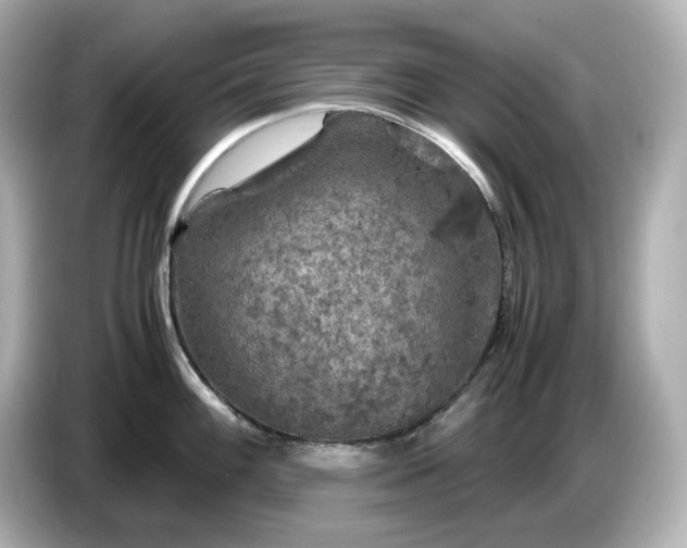 X0000087011100200704301413