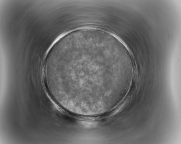 X0000087011101200704301413